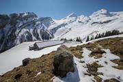 Klicken Sie hier, um das Album zu sehen: Alpgebiet Malschüel