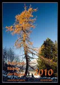 Klicken Sie hier, um das Album zu sehen: Bäume der Region 2010